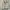 Fila Gorpcore Casual Fleece Pria cream photo 2