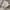 Fila Gorpcore Casual Fleece Pria cream photo 6
