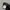 Japanese brand Streetwear Y2K Track jacket Pria black photo 6