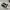 Converse Vintage Casual Casual Shoe Pria Black