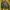 Vintage Streetwear Bomber jacket Pria green photo 4
