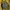 Vintage Streetwear Bomber Jacket Pria Green
