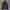Cav Empt Streetwear Fleece Pria navy photo 4