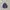 Casual Sweatshirt Pria multicolor photo 1