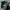 Polo Ralph Lauren Sportswear Casual Hat Pria green photo 1