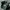 Polo Ralph Lauren Sportswear Casual Hat Pria Green