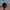 Polo Ralph Lauren Sportswear Casual Hat Pria green photo 2