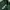 Ben Davis Streetwear Casual Hoody Pria green photo 4