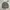 Streetwear Avant Garde Fleece Pria khaki photo 2