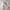 Casual Hoody Pria white photo 2