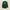 Casual Hoody Pria Green