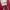 Polo Ralph Lauren Y2K Grunge Hoody Pria red photo 5