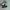 New Balance Streetwear Sportswear Sneakers Pria green photo 5