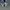 Adidas Streetwear Casual Sneakers Pria navy photo 4