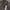 Luxury Midi dress Wanita brown photo 4