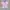 Adidas Y2K Jersey Pria pink blue photo 2