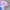 Adidas Y2K Jersey Pria pink blue photo 6
