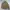 Casual Bomber jacket Pria brown photo 1