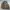 Casual Bomber jacket Pria brown photo 4