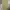 Sportswear Casual Casual pants Pria khaki photo 2
