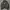 Vintage Harrington jacket Pria gray photo 1