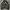 Vintage Harrington Jacket Pria Gray