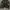 Sportswear Track jacket Pria black photo 1