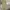 Gorpcore Casual Casual pants Pria tan photo 1