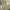 Gorpcore Casual Casual Pants Pria Tan