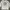 BASIC HOUSE Y2K Sportswear Casual Dress Wanita White