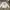 BASIC HOUSE Y2K Sportswear Casual dress Wanita white photo 1
