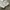 Streetwear Sportswear Windbreaker Pria white photo 4