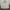 Streetwear Sportswear Windbreaker Pria white photo 1