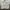 Streetwear Sportswear Windbreaker Pria white photo 2