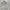 Streetwear Sportswear Windbreaker Pria white photo 3