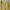 Y2K Lolita Blouse Wanita yellow photo 4