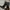 Luxury Lolita Knee high boots Wanita black photo 1