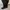Luxury Lolita Knee high boots Wanita black photo 2