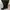 Luxury Lolita Knee High Boots Wanita Black
