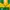 Adidas Vintage Casual Casual shirt Pria green yellow photo 5