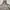 Streetwear Casual Windbreaker Pria multicolor photo 3