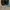 Bally Luxury Minimalist Loafer Wanita black photo 4