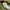 Japanese brand Vintage Streetwear Casual pants Pria green photo 7