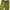 Japanese brand Vintage Streetwear Casual pants Pria green photo 3