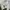 Japanese brand Vintage Streetwear Casual pants Pria green photo 6