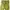 Japanese brand Vintage Streetwear Casual pants Pria green photo 4