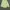 Polo Ralph Lauren Casual T-shirt Pria green photo 1
