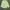 Polo Ralph Lauren Casual T-shirt Pria Green