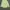Polo Ralph Lauren Casual T-shirt Pria green photo 3