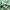 Polo Ralph Lauren Casual T-shirt Pria green photo 7